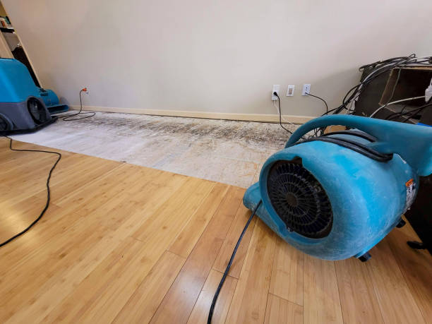 Professional Emergency Water Damage technician working in Boaz, AL